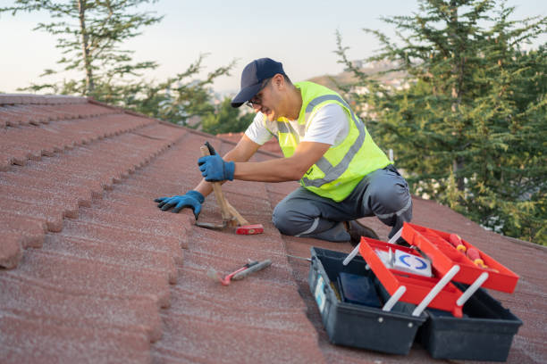 Best Roof Gutter Cleaning  in Etna, PA